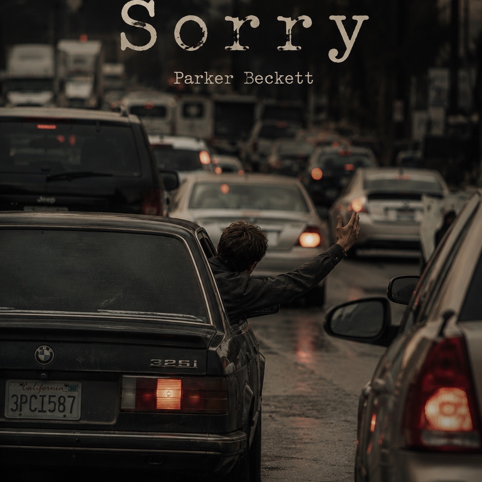 Sorry artwork